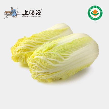 【下单后2-3天发货】上膳源有机娃娃菜 商品图0