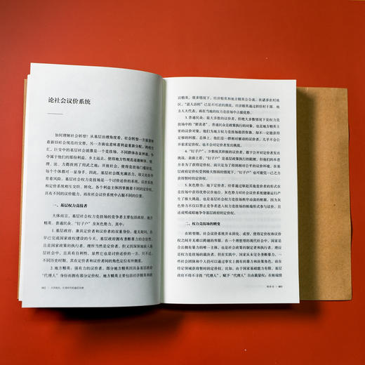 大国底色：巨变时代的基层治理 商品图7