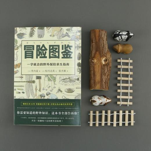 冒险图鉴 一学就会的野外探险求生指南 里内蓝 著 日常生活百科实用手册 野外探险求生指南 生活户外图鉴书籍 商品图3