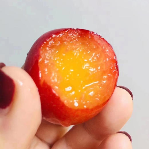 〔上海直发包邮06〕智利樱桃李 商品图4