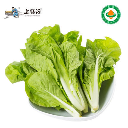 【下单后2-3天发货】上膳源有机白菜苔 商品图0