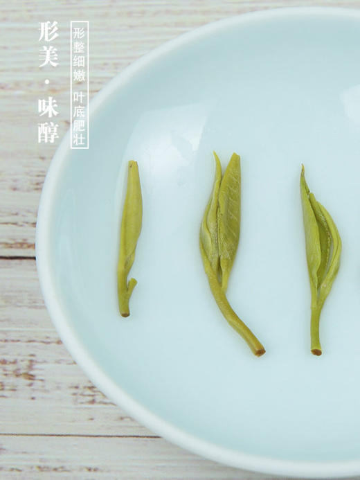 【新茶现货 明前嫩芽】绿茶2025新茶叶 明前头采特级嫩芽王光熙松萝茶 黄山名茶 罐装50克 商品图4