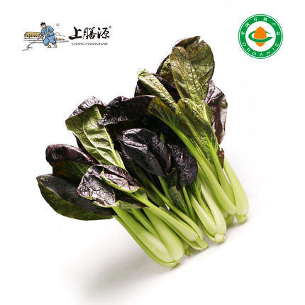 【下单后2-3天发货】上膳源有机紫青菜 商品图0