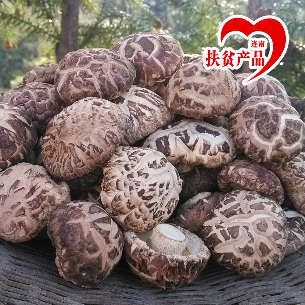 广东连南瑶乡小花菇400g