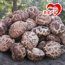 广东连南瑶乡小花菇400g