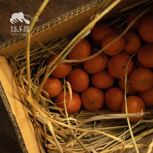 生态砂糖橘（带酸） | 合作生产 *Sand Sugar Orange | Coproduction 商品图5
