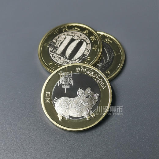 2019猪年生肖纪念币 商品图0