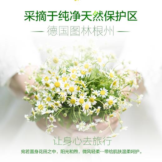 德国小甘菊修护唇膏 商品图3