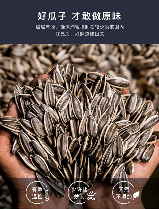 三胖蛋 原味瓜子 内蒙古特产 大葵花籽 休闲零食坚果炒货 商品图0