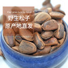 【长白山野生红松子】松子仁大而饱满，嚼起来有淡淡的甜味，回味是浓郁的松果气息，自然生长，过齿留香，原香好滋味！ 商品缩略图5