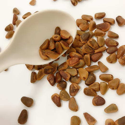 【长白山野生红松子】松子仁大而饱满，嚼起来有淡淡的甜味，回味是浓郁的松果气息，自然生长，过齿留香，原香好滋味！ 商品图6