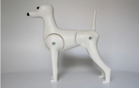 TAA它它贵宾骨架