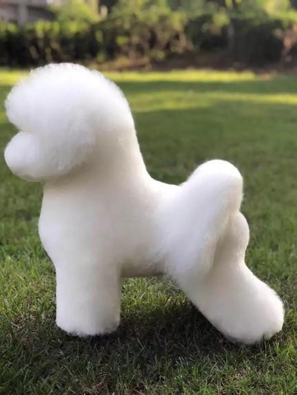 比熊全身毛 商品图0