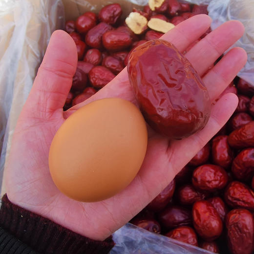 和田【特级大枣】个大皮薄核小、肉质厚实、咬起来有嚼劲甜度高、煲汤、熬粥、泡茶、直接吃 商品图6