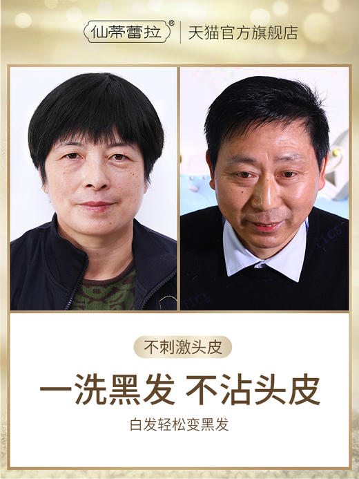 纯春堂 一洗就黑 不沾头皮 不沾手 汉斯 一洗黑植物染发剂 商品图2