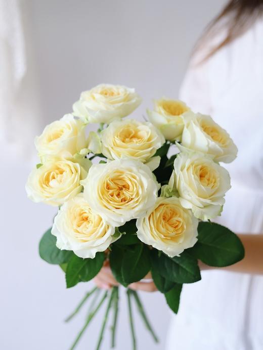 奶油杯玫瑰【但愿日子清透，抬头遇见都是柔情】简小姐精选 稀有新品温柔A级奥斯汀玫瑰 奶油杯10枝 2束包邮 下单7天内发货 商品图6