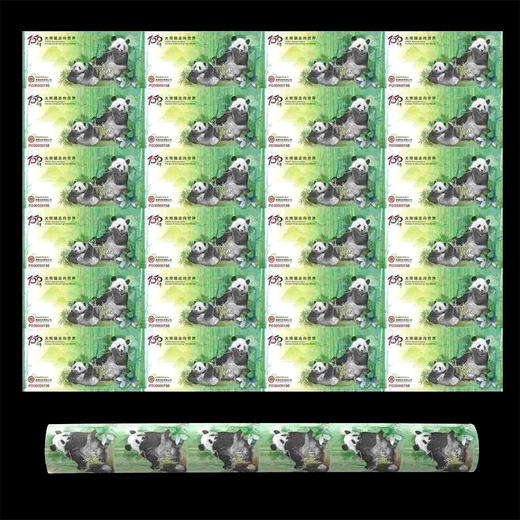 大熊猫走向世界150周年纪念券 24连体 商品图2