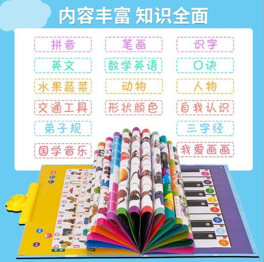 【儿童玩具】*早教有声读物挂本点读发声书启蒙益智拼音宝宝认知挂图充电款玩具 商品图0