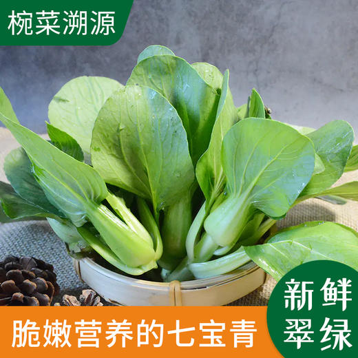 七宝青(农户邵德炎)约400g/份 椀菜农村溯源菜商城