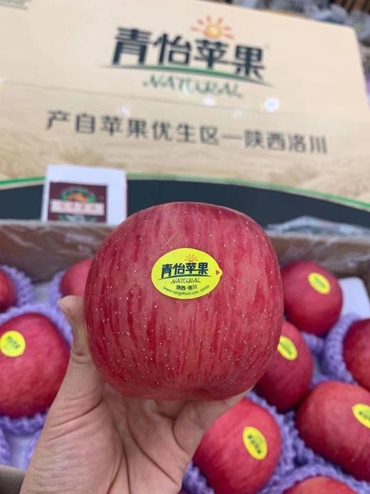 宏丰精选青怡苹果
