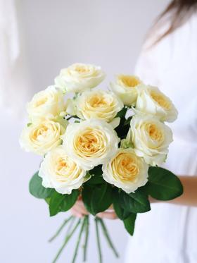 奶油杯玫瑰【但愿日子清透，抬头遇见都是柔情】简小姐精选 稀有新品温柔A级奥斯汀玫瑰 奶油杯10枝 2束包邮 下单7天内发货