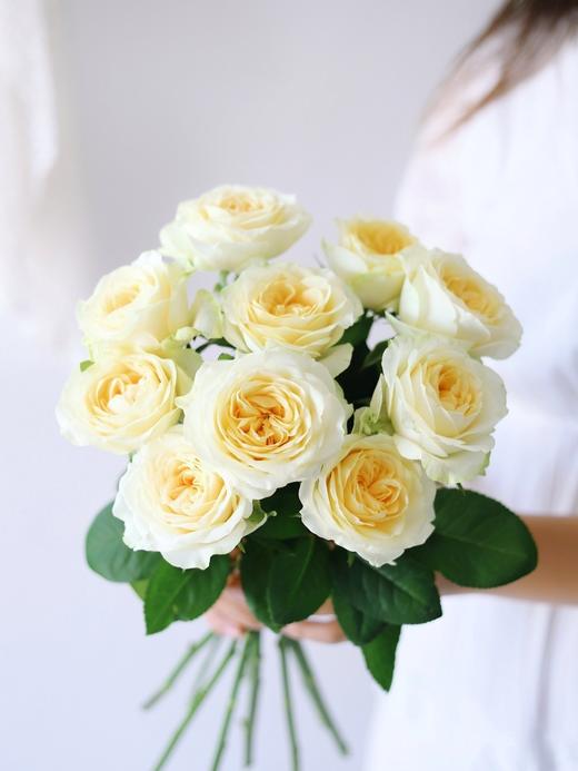 奶油杯玫瑰【但愿日子清透，抬头遇见都是柔情】简小姐精选 稀有新品温柔A级奥斯汀玫瑰 奶油杯10枝 2束包邮 下单7天内发货 商品图0