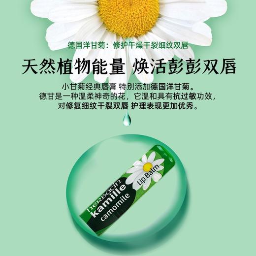 德国小甘菊修护唇膏 商品图2