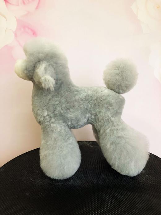 TAA它它贵宾全身毛 商品图0