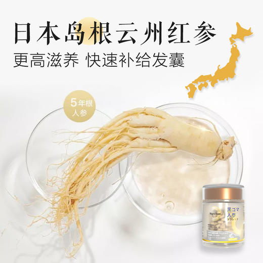 日本诺维康人参黑芝麻固发黑发含片 滋养黑发 巩固发根 控油疏通 唤回乌黑浓密秀发 商品图4