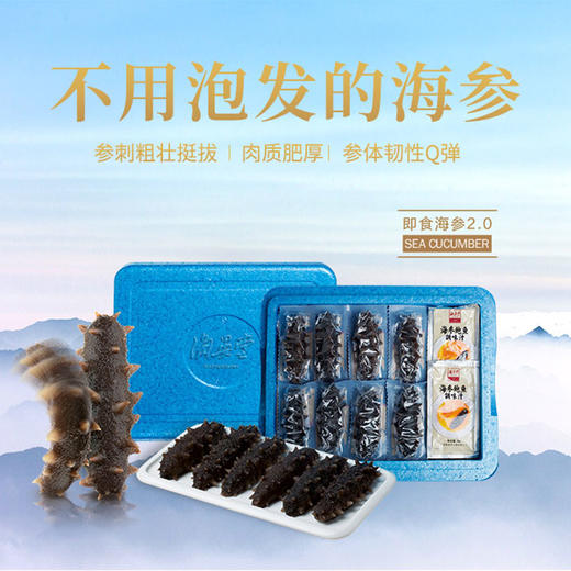 真空无冰即食海参1500克（30头装） 商品图0