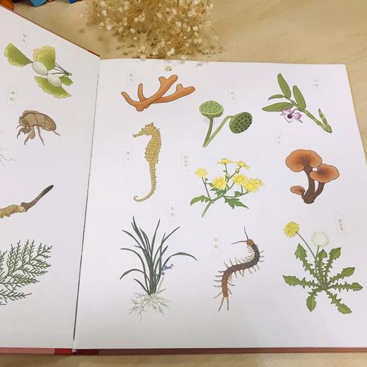 大药房  商品图2