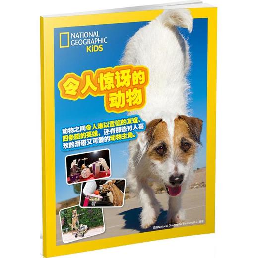 令人惊讶的动物  商品图0