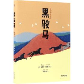 黑骏马 