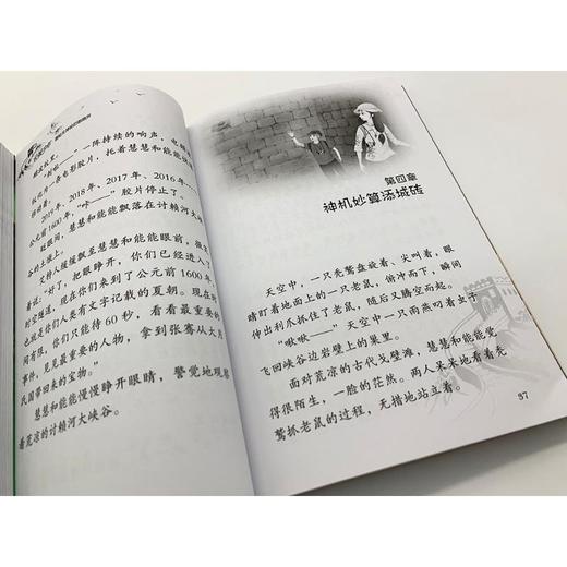 嘉峪关神秘的啾啾声  商品图2