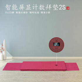 大白牛车智能屏显计数拜垫2S