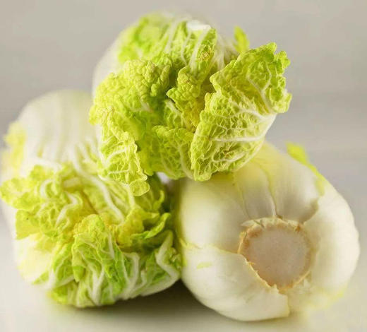 黄芽白菜约12斤