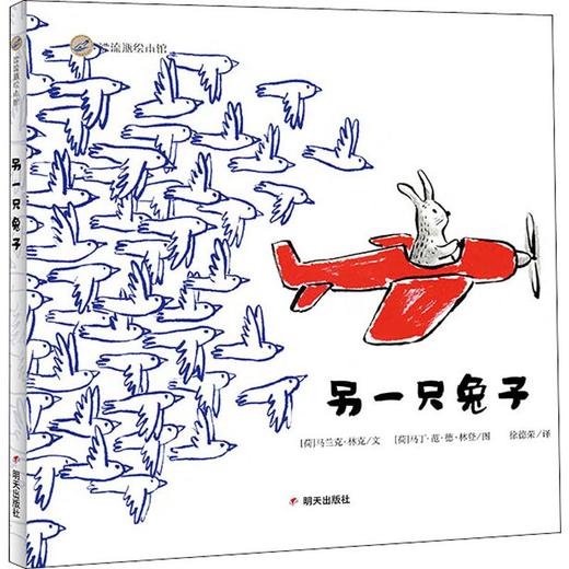 另一只兔子  商品图0