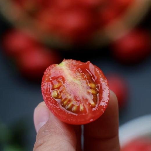 茂名电白千禧小番茄 2/4斤装 （48-72小时发货 下雨推迟） 商品图6