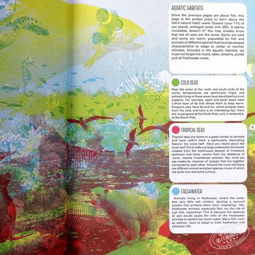 【中商原版】Lens Book. Animals 镜头解读：动物 英文原版儿童科普 商品图3