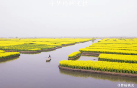 2025年4月【苏州】兴化油菜花、茅山会船节、水上森林公园5天摄影