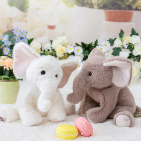 伽百利/Gabriel毛绒玩具可爱小象公仔睡觉陪伴安抚玩偶礼物女