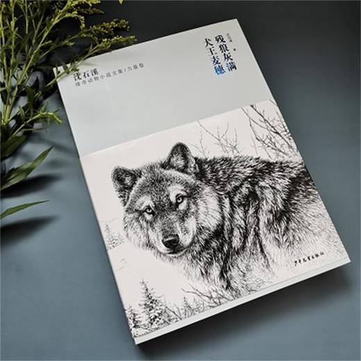 沈石溪臻奇动物小说文集/力量卷 残狼灰满 犬王麦穗  商品图1