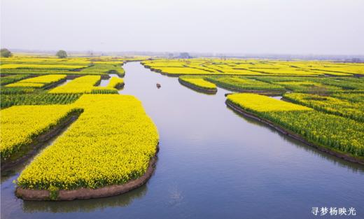 2025年4月【苏州】兴化油菜花、茅山会船节、水上森林公园5天摄影 商品图2
