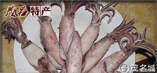 熟小管 /斤 商品图1