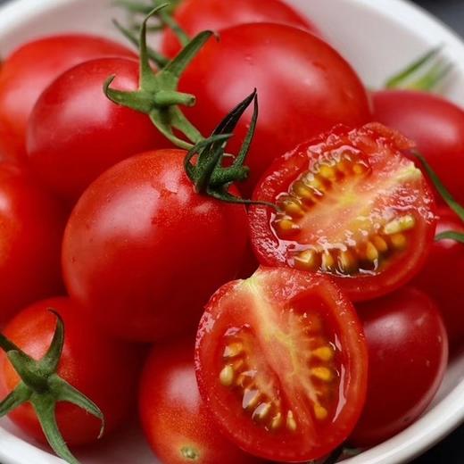 茂名电白千禧小番茄 2/4斤装 （48-72小时发货 下雨推迟） 商品图3