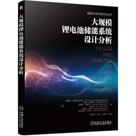 大规模锂电池储能系统设计分析（储能科学与技术丛书）