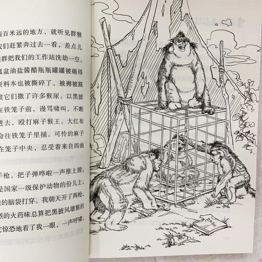 雄猴的战争  商品图2