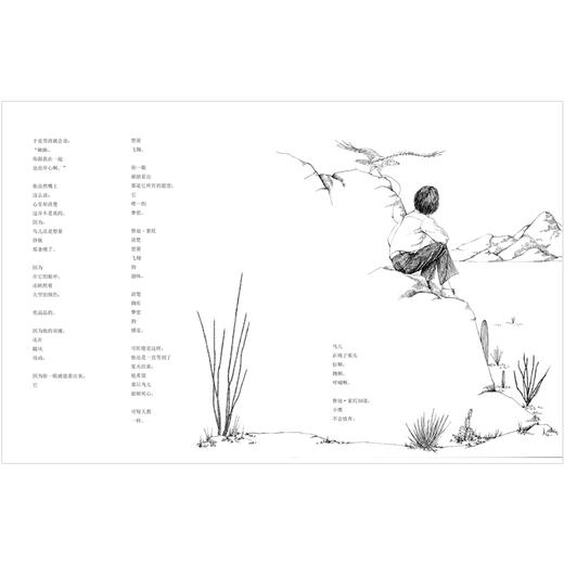 鹰啊,我是你兄弟  商品图2