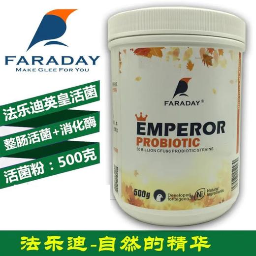 【英皇活菌】粉剂500克//活性菌/法乐迪英皇活菌鸽药（法乐迪） 商品图0