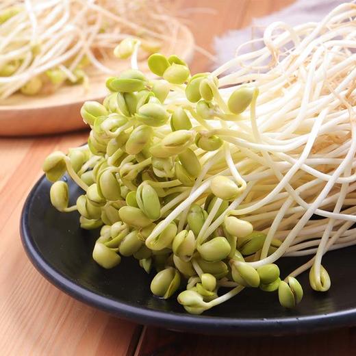 黄豆豆芽600g